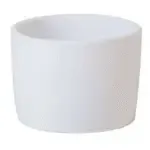 Vertex China ARG-RT2, Ramekin / Sauce Cup, China, 3 Oz., Round