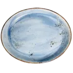 Vertex China , LTS-14, Platter, China, Aluminum, Terra Sky, Oval